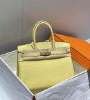 Hermes Birkin Platinum Togo Leather Replica Bag With Gold-Tone Metal 25 cm