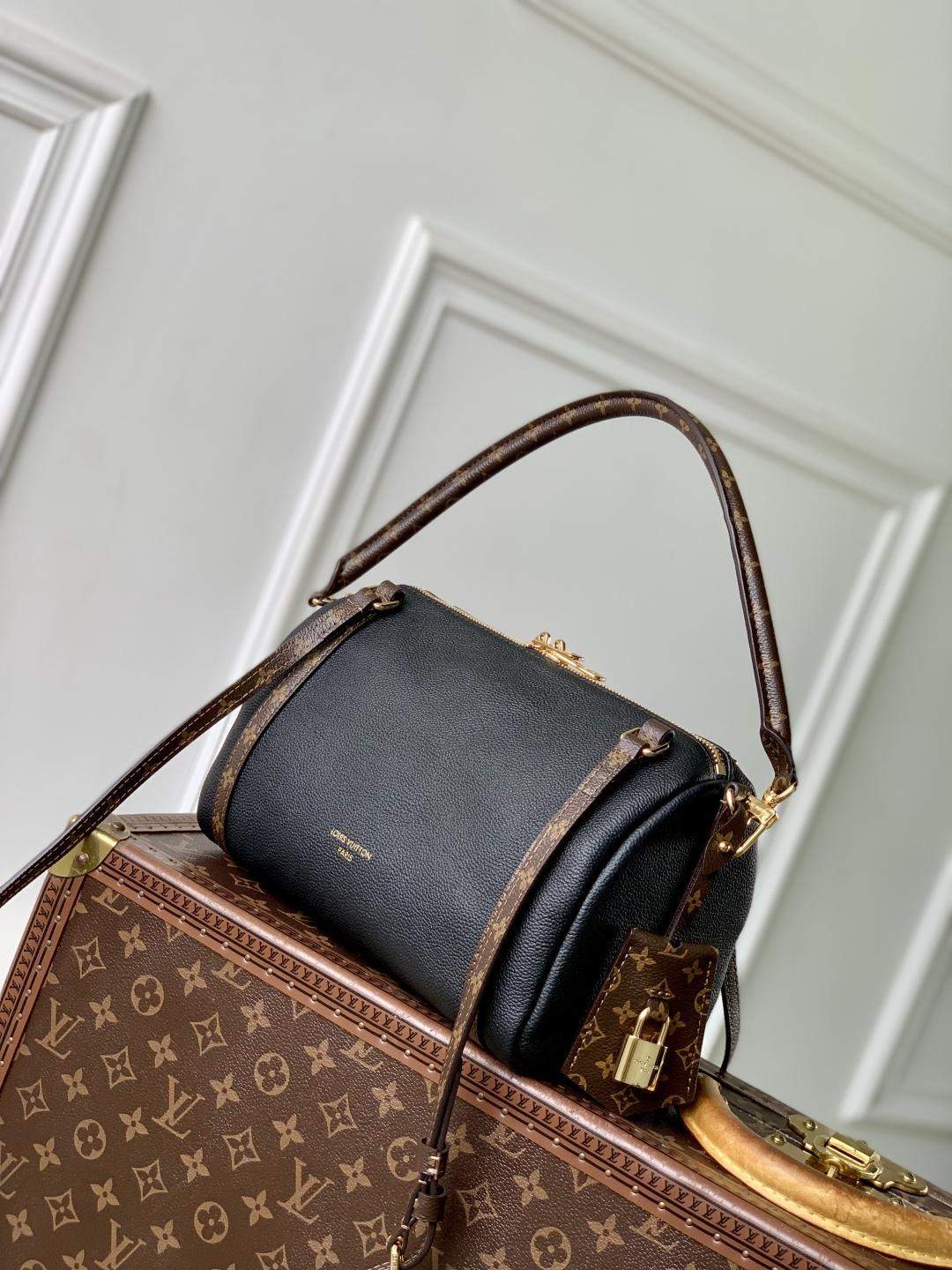 Luxury Replica Louis Vuitton Express PM - Image 3