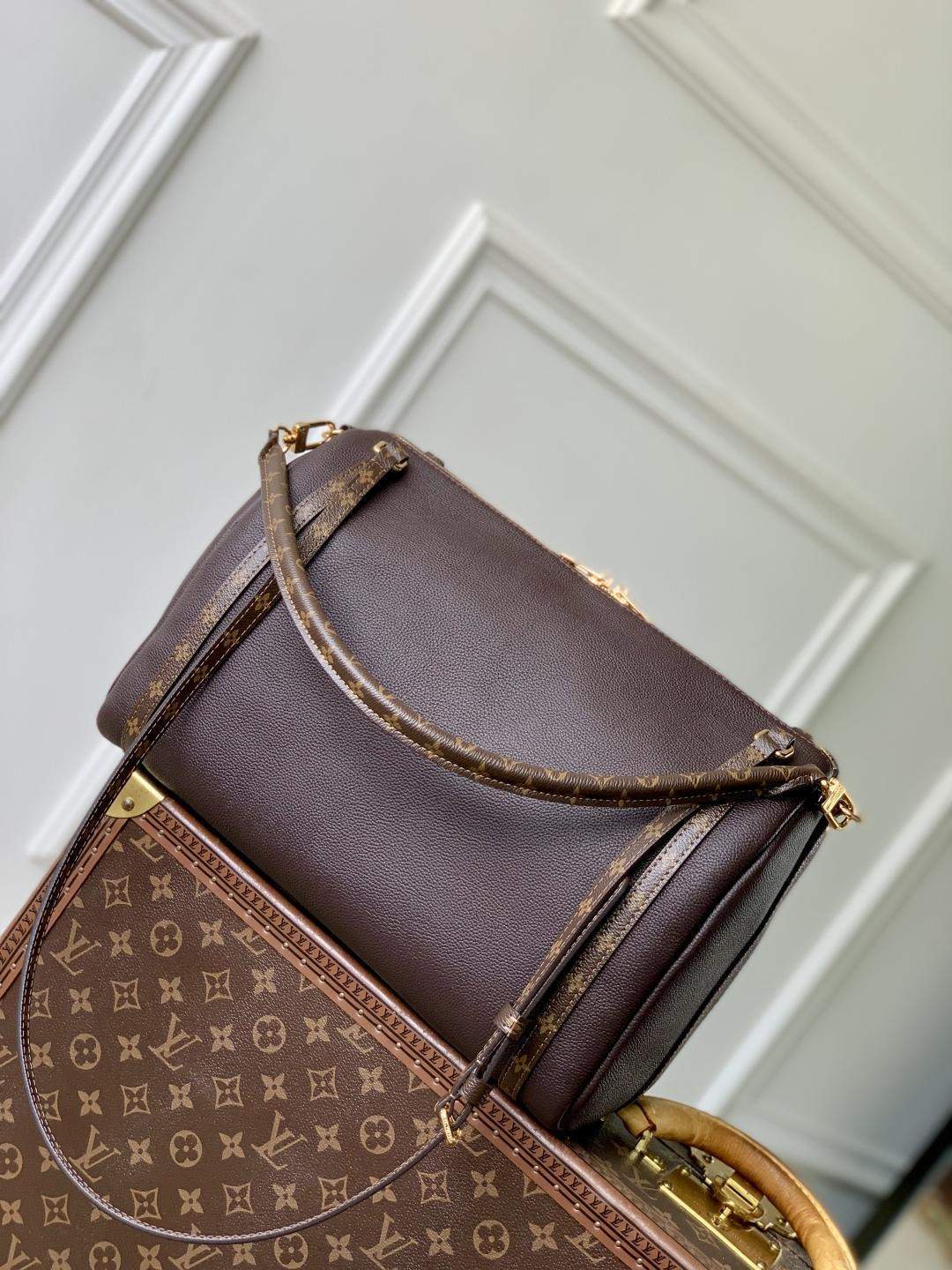 Exact Copy Louis Vuitton Express MM Replica Bag - Image 2