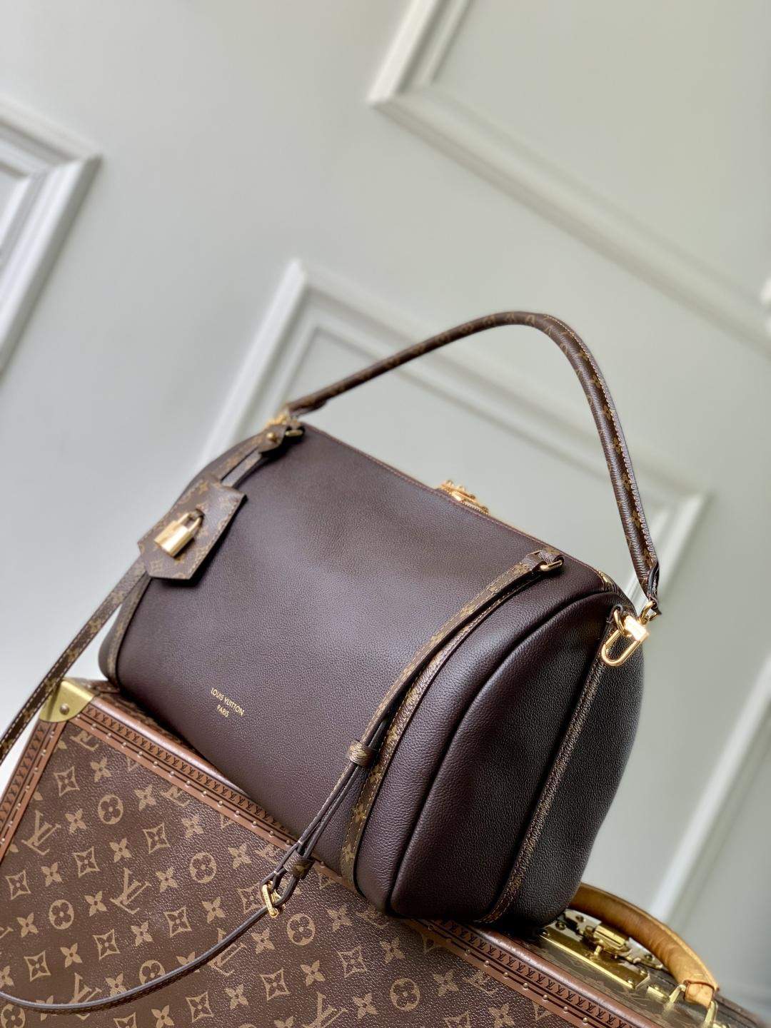 Exact Copy Louis Vuitton Express MM Replica Bag - Image 3