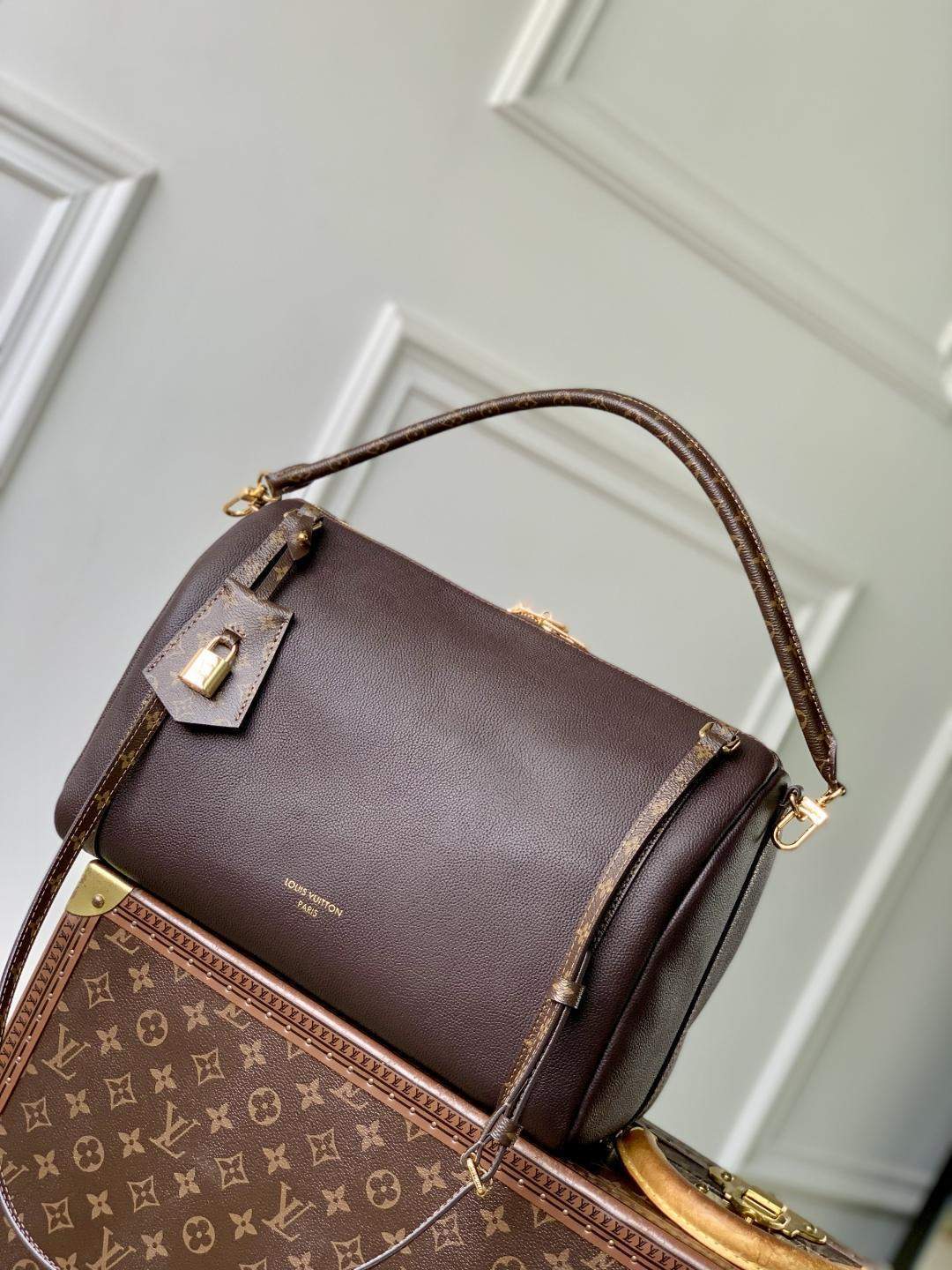 Exact Copy Louis Vuitton Express MM Replica Bag