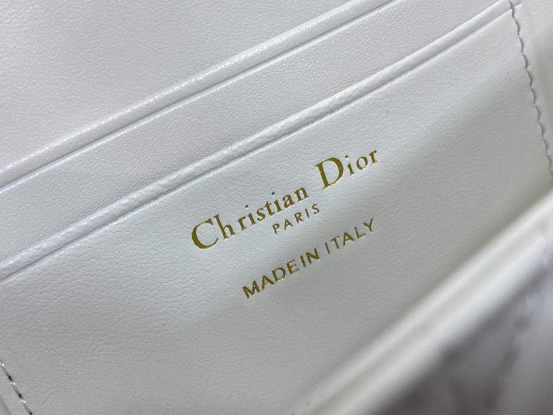 Lux Christian My Dior - Dior Talk Replica Phone Pouch - Image 10