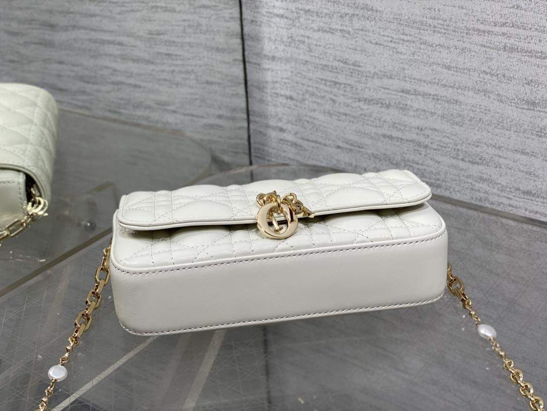 Lux Christian My Dior - Dior Talk Replica Phone Pouch - Image 5