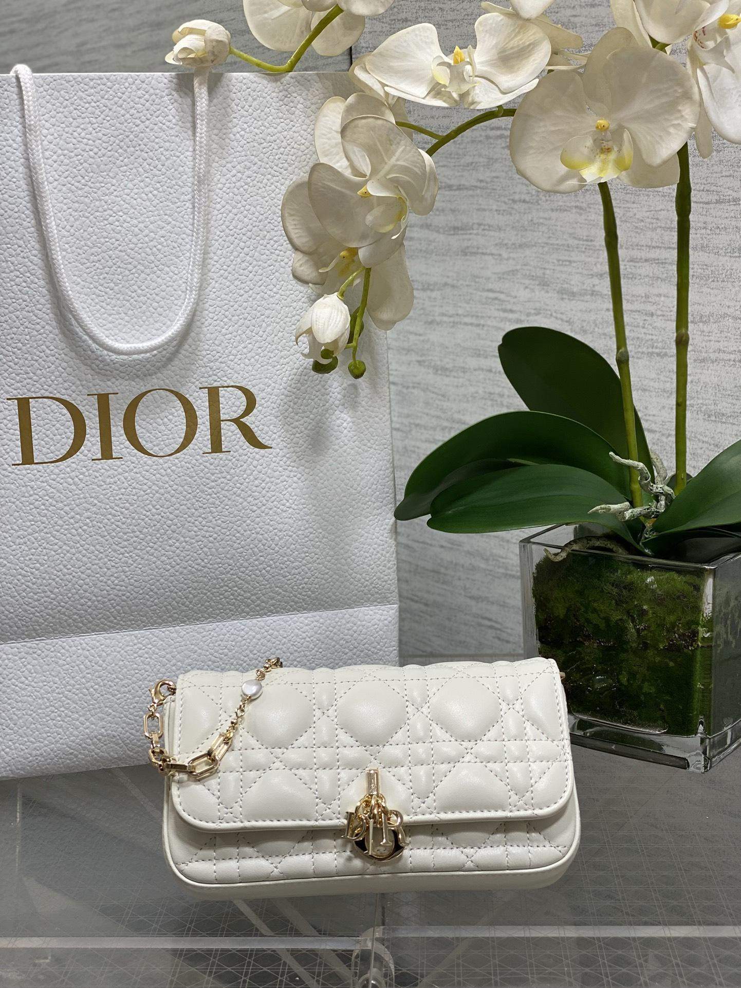 Lux Christian My Dior - Dior Talk Replica Phone Pouch