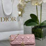 Lux Christian My Dior - Dior Talk Replica Phone Pouch - Pink