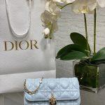 Lux Christian My Dior - Dior Talk Replica Phone Pouch - Ice Blue