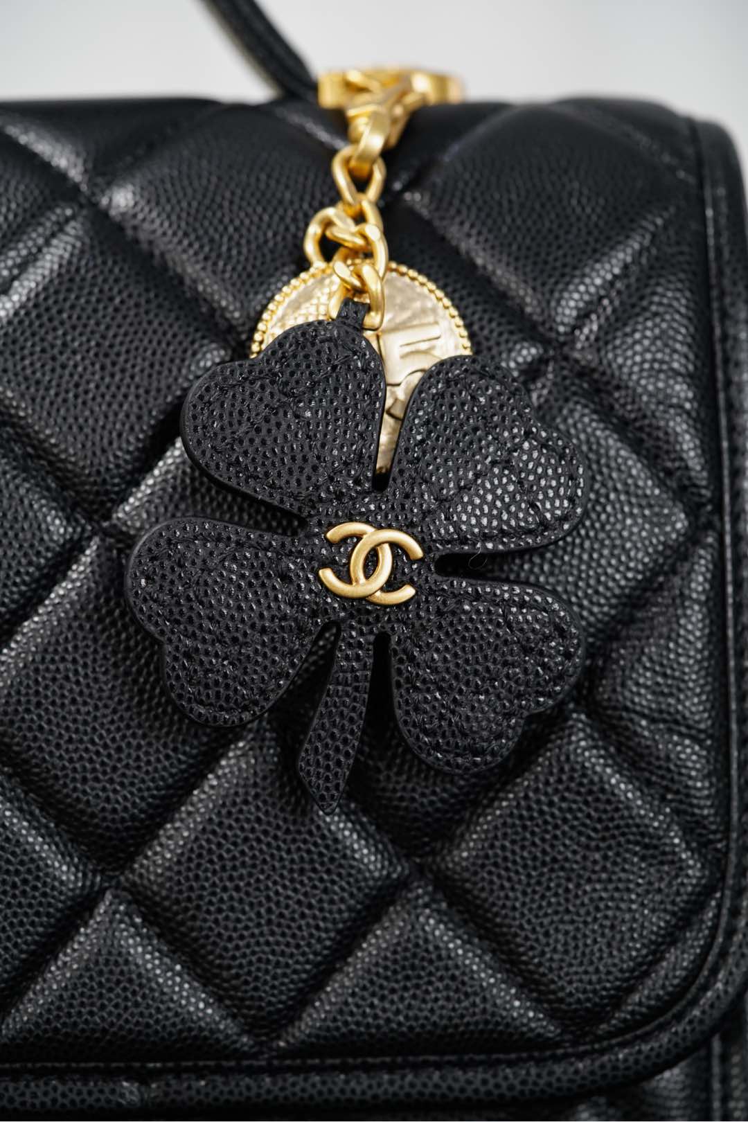 Copy Grained Shiny Calfskin & Gold-Tone Metal Replica Backpack - Image 11