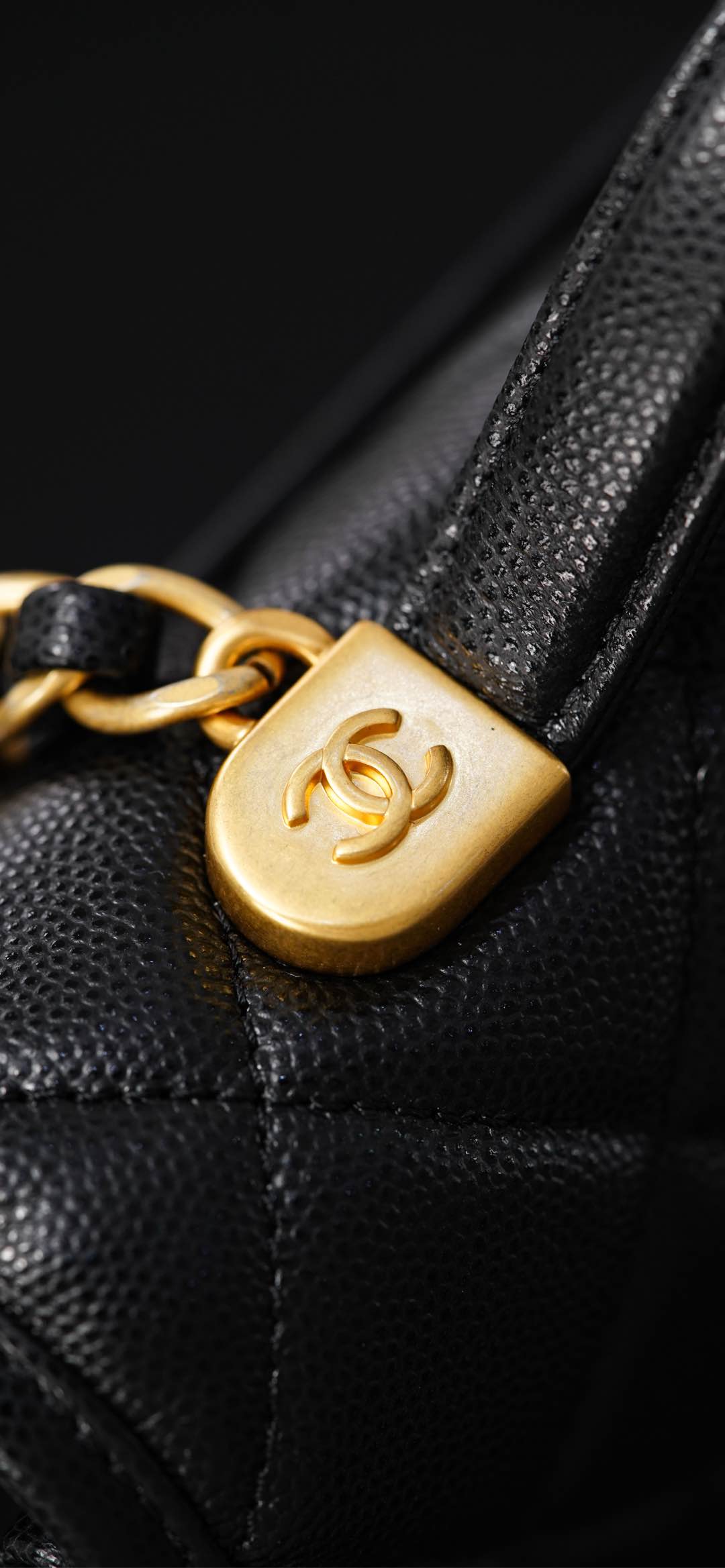 Copy Grained Shiny Calfskin & Gold-Tone Metal Replica Backpack - Image 13