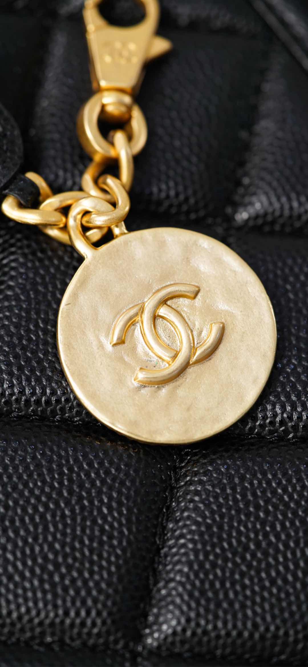 Copy Grained Shiny Calfskin & Gold-Tone Metal Replica Backpack - Image 14