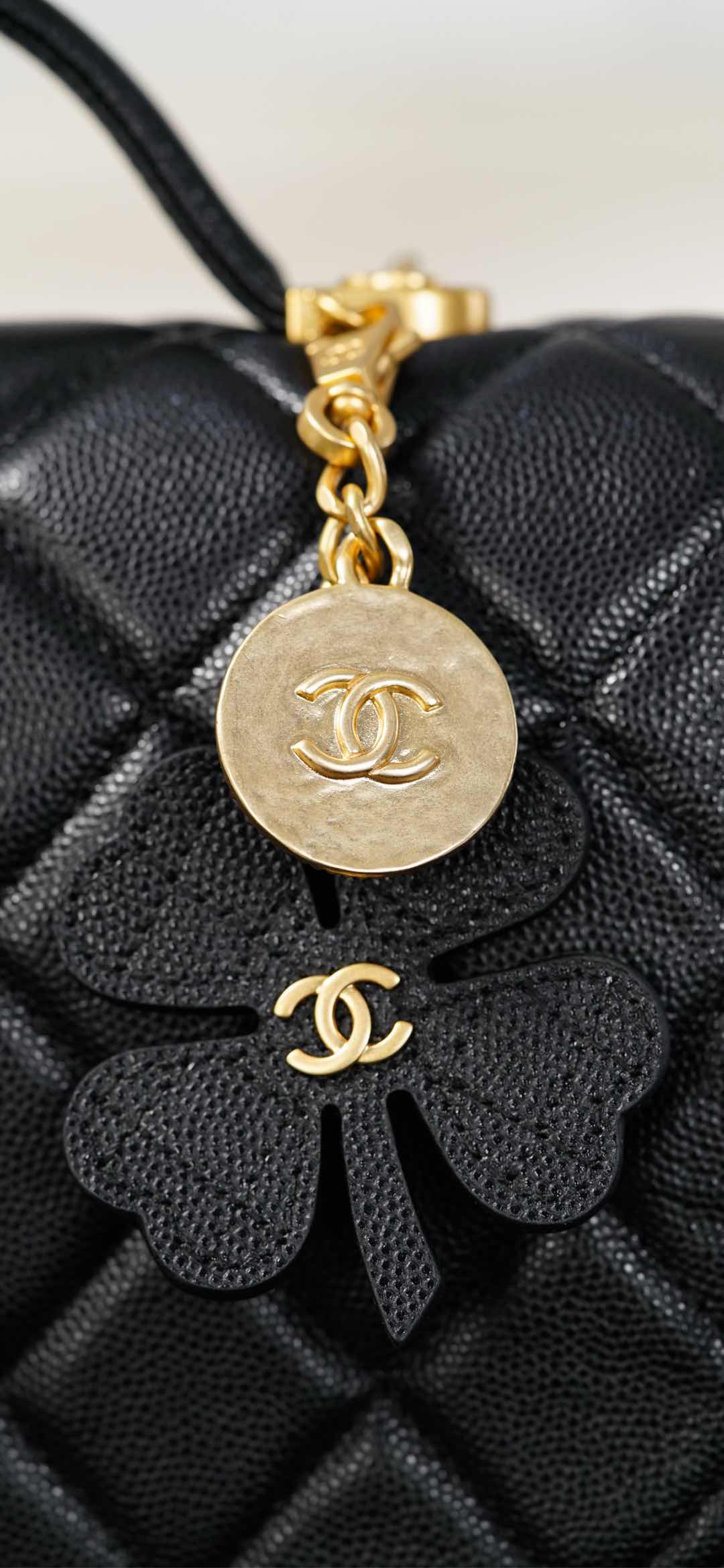 Copy Grained Shiny Calfskin & Gold-Tone Metal Replica Backpack - Image 24