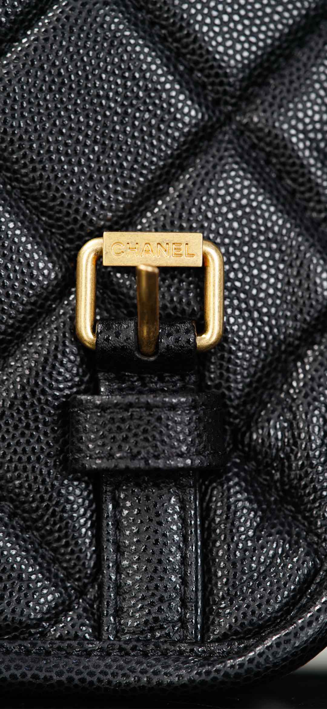 Copy Grained Shiny Calfskin & Gold-Tone Metal Replica Backpack - Image 22