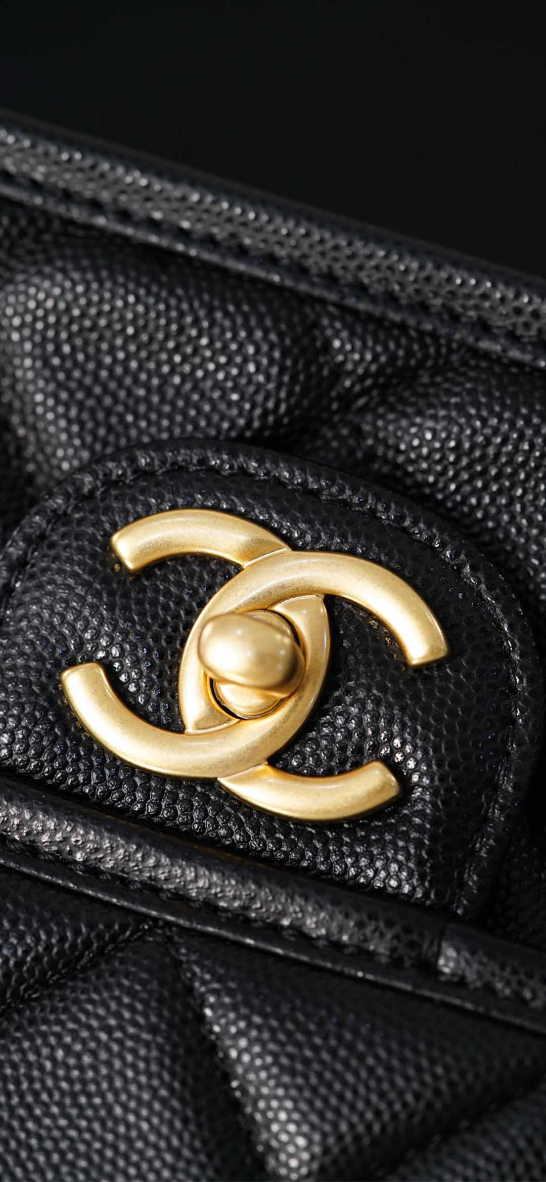 Copy Grained Shiny Calfskin & Gold-Tone Metal Replica Backpack - Image 21