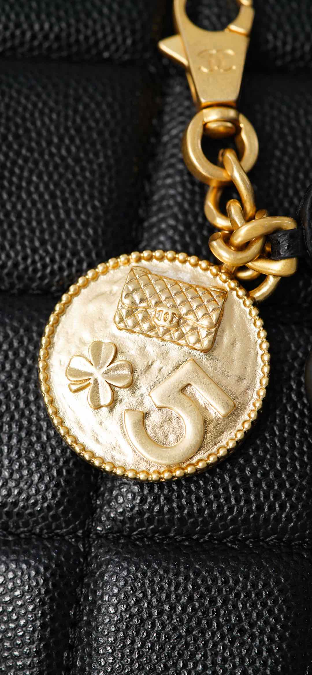 Copy Grained Shiny Calfskin & Gold-Tone Metal Replica Backpack - Image 20