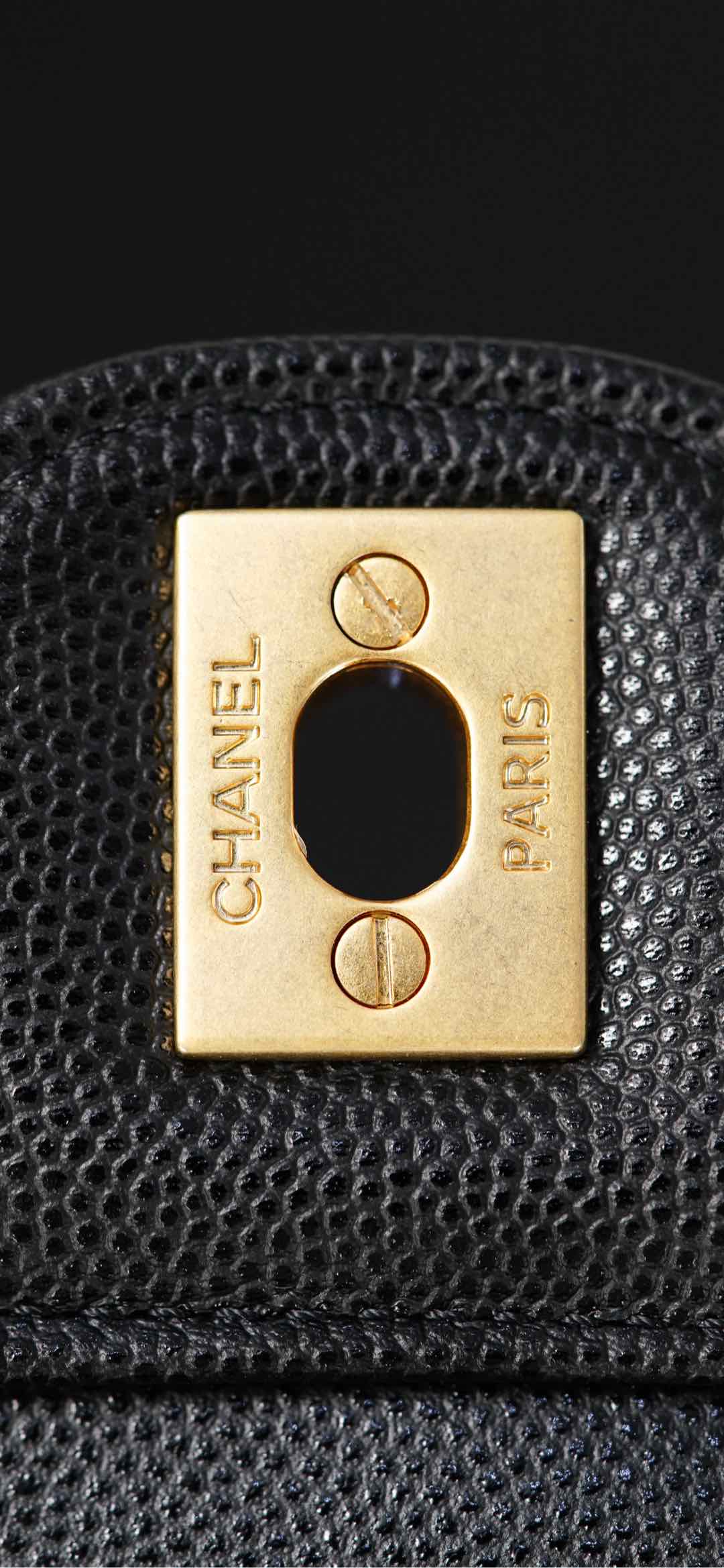 Copy Grained Shiny Calfskin & Gold-Tone Metal Replica Backpack - Image 32