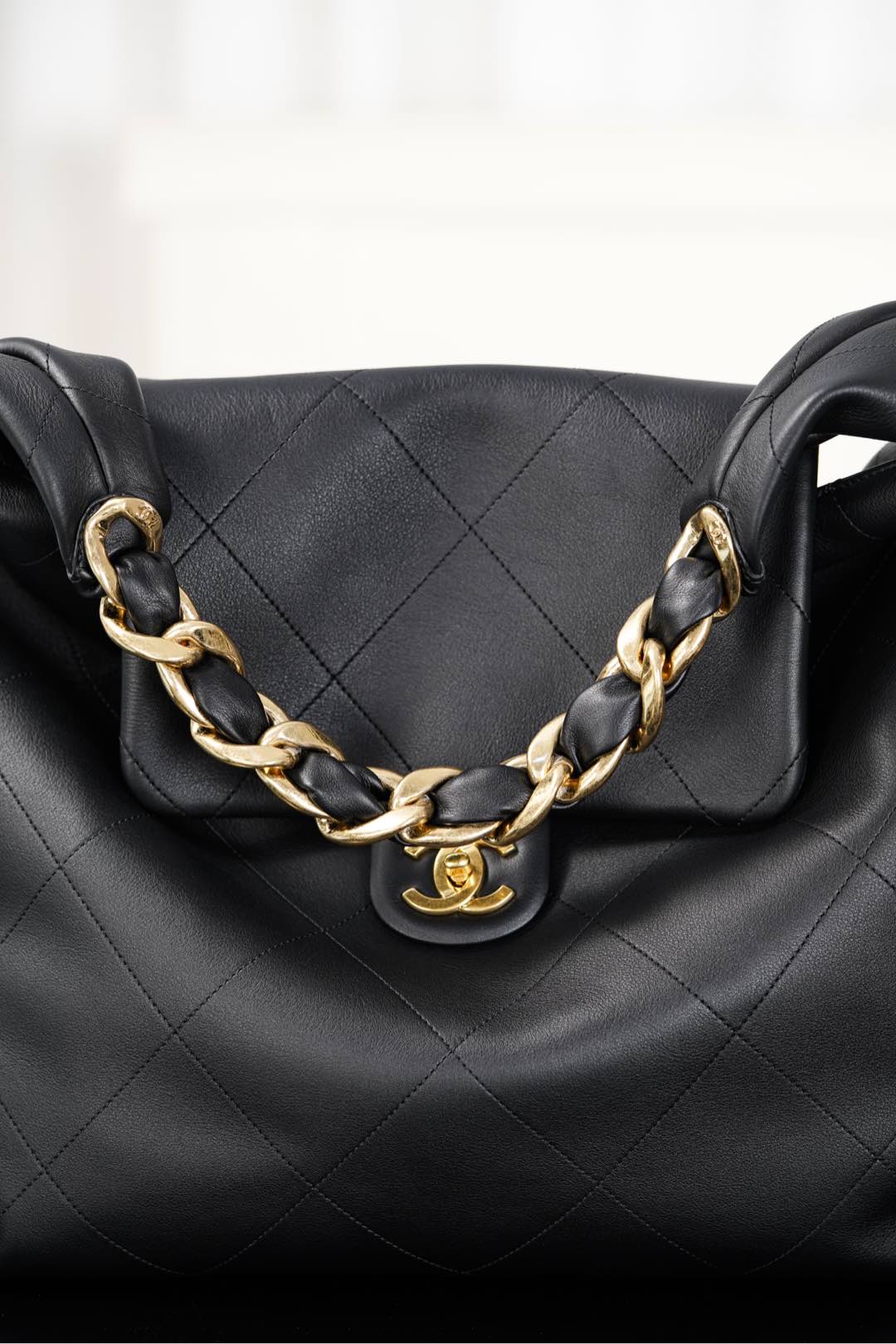 Exact Copy Maxi Replica Hobo Bag - Image 11