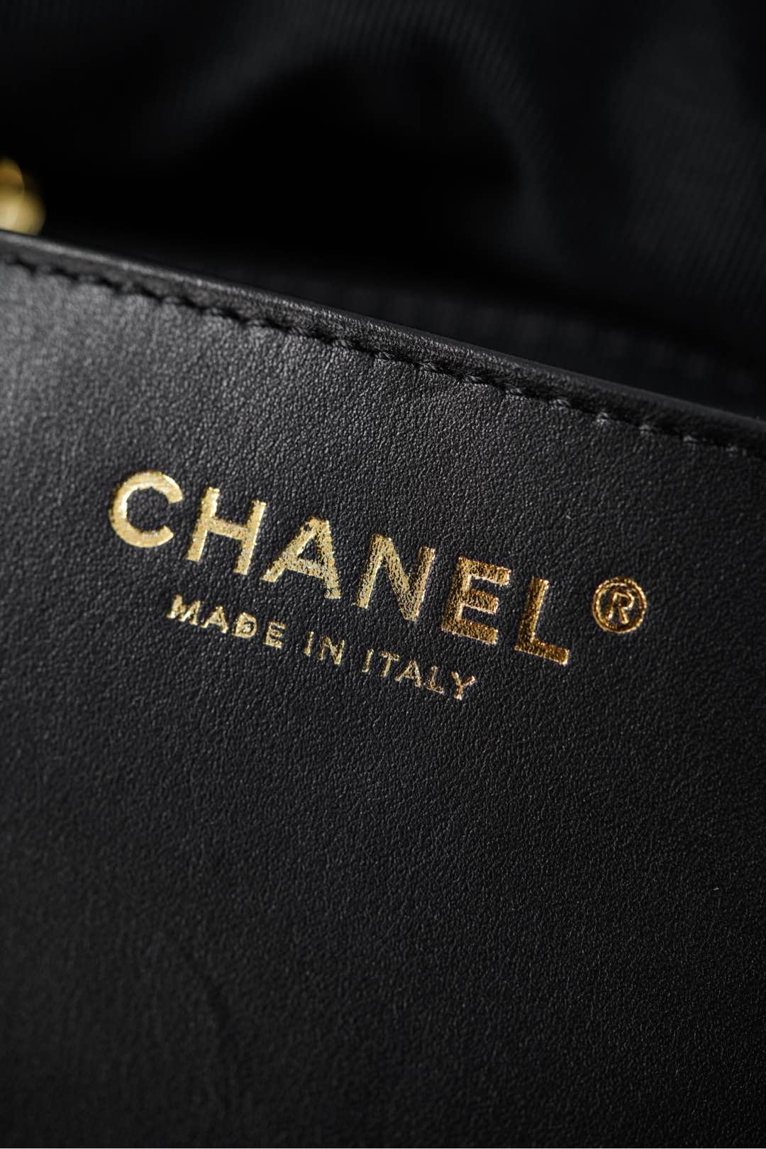 Exact Copy Maxi Replica Hobo Bag - Image 26