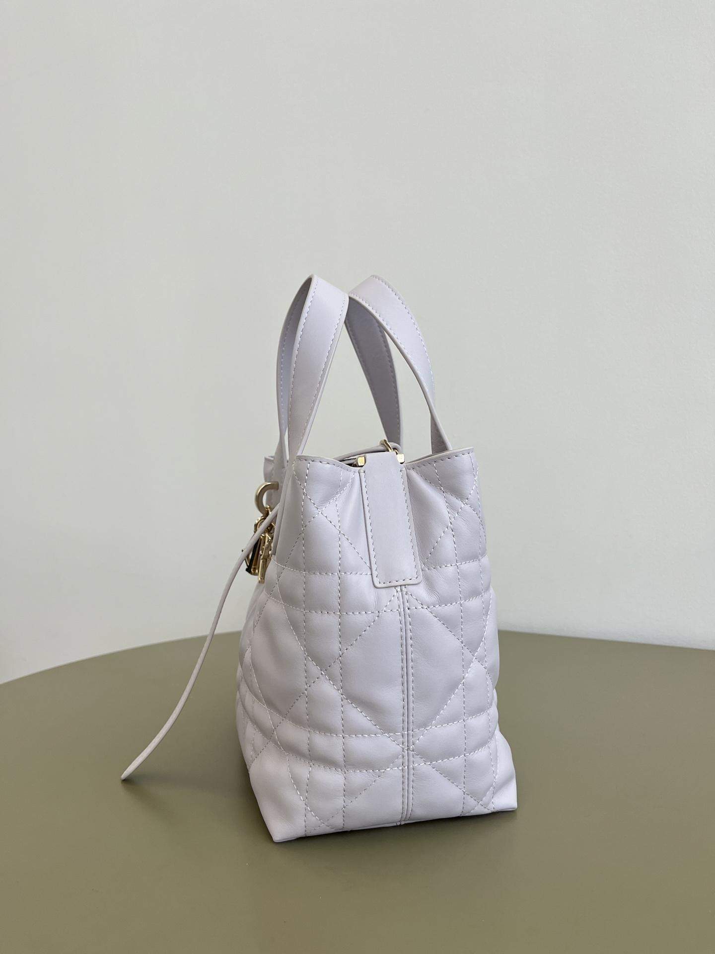 Elite Christian Dior Small Dior Toujours Vertical Replica Tote Bag - Image 3