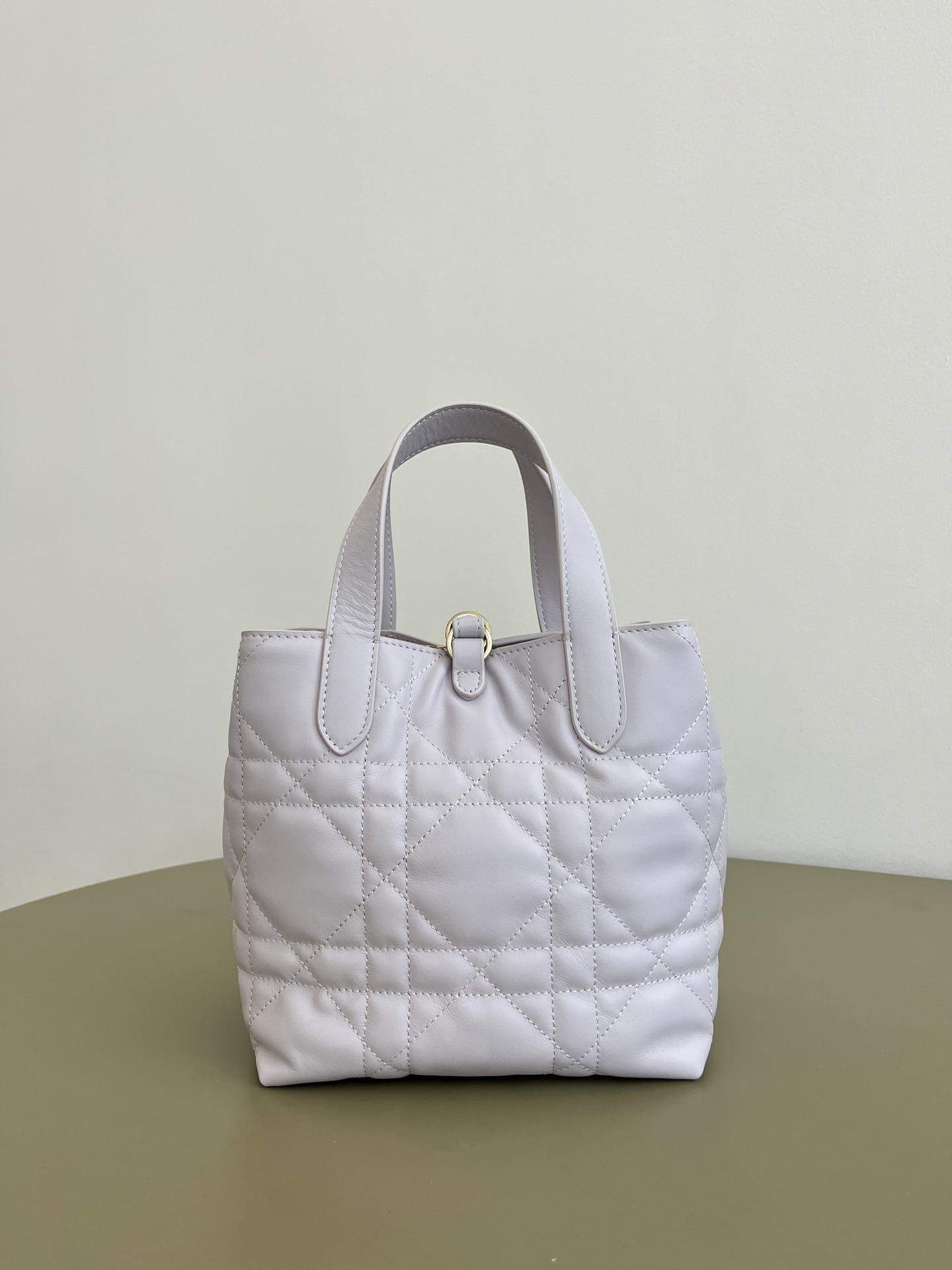 Elite Christian Dior Small Dior Toujours Vertical Replica Tote Bag - Image 2