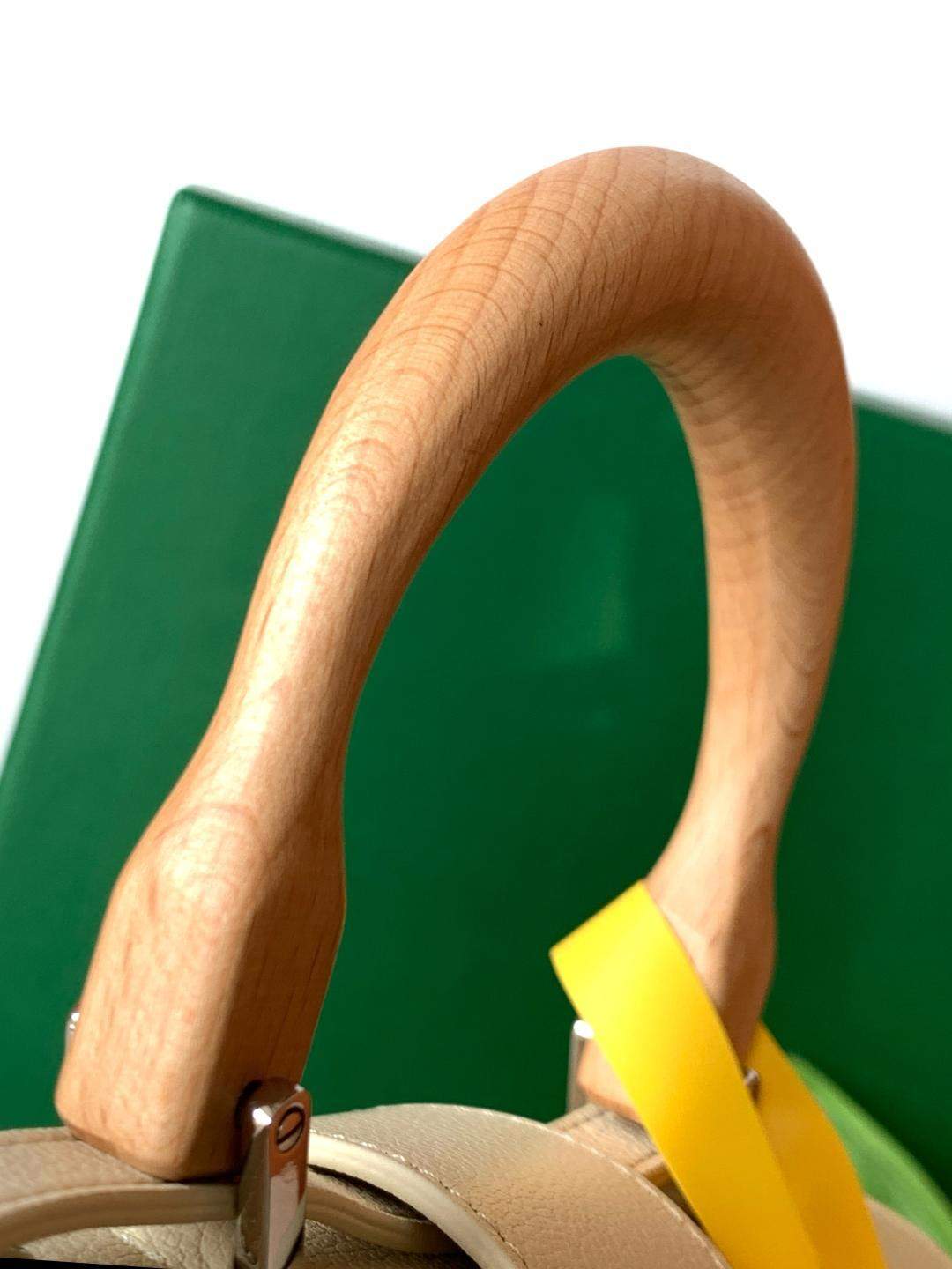 Copy Goyard Saigon Structure Replica Mini Bag Cactus Embroidery - Image 5