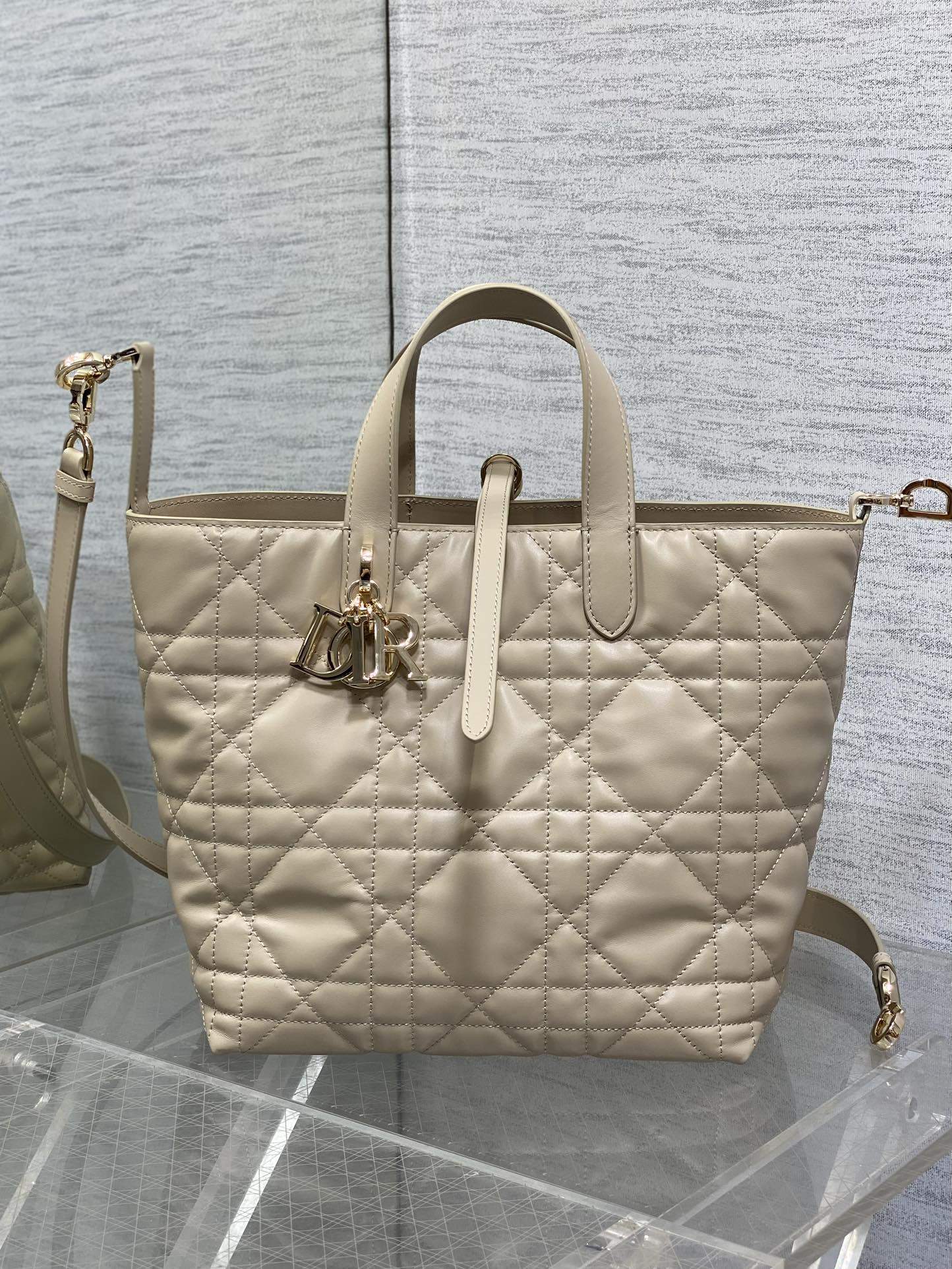 Premium Chrisitan Dior Medium Dior Toujours Vertical Replica Tote Bag - Image 3