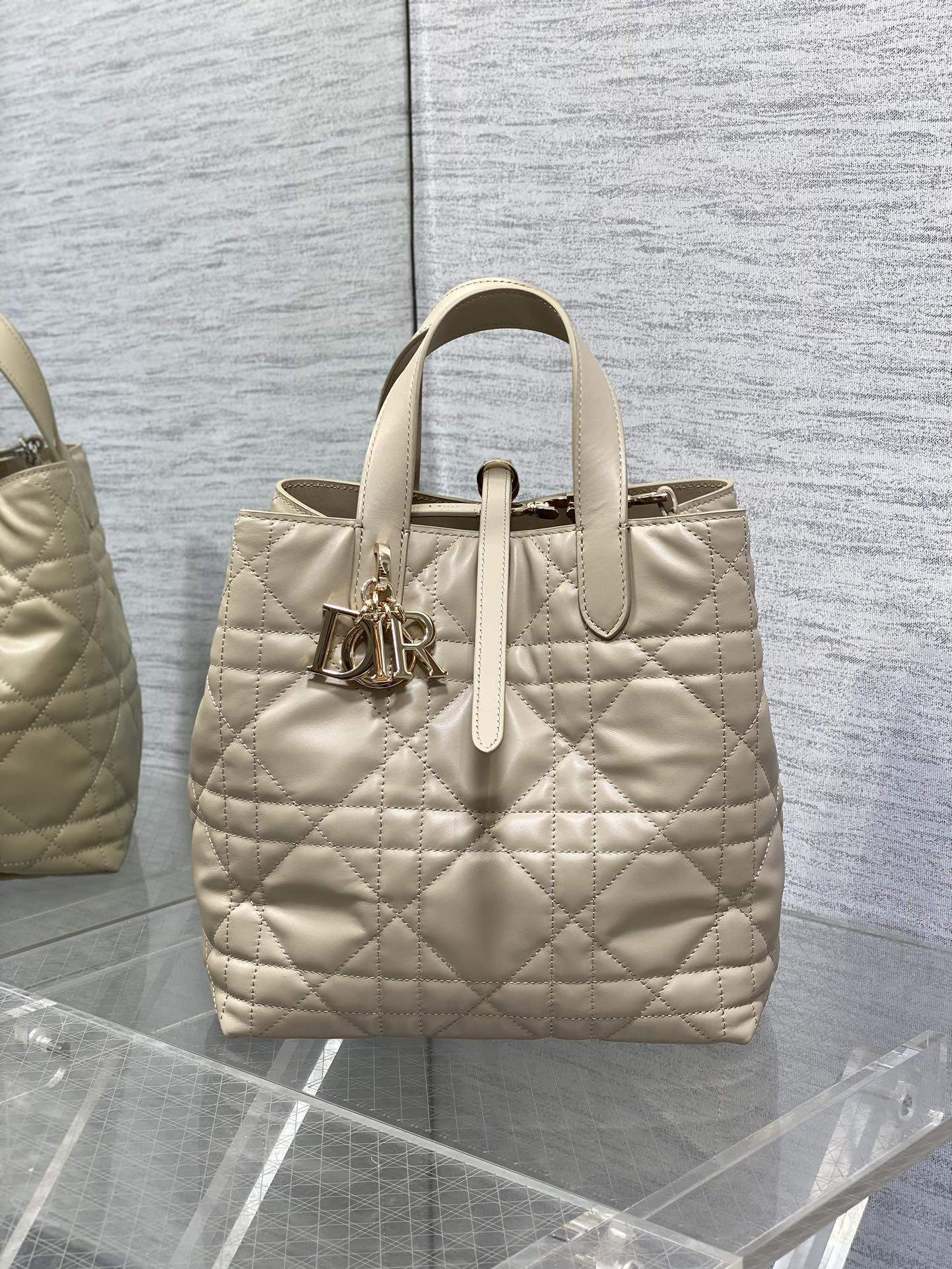 Premium Chrisitan Dior Medium Dior Toujours Vertical Replica Tote Bag