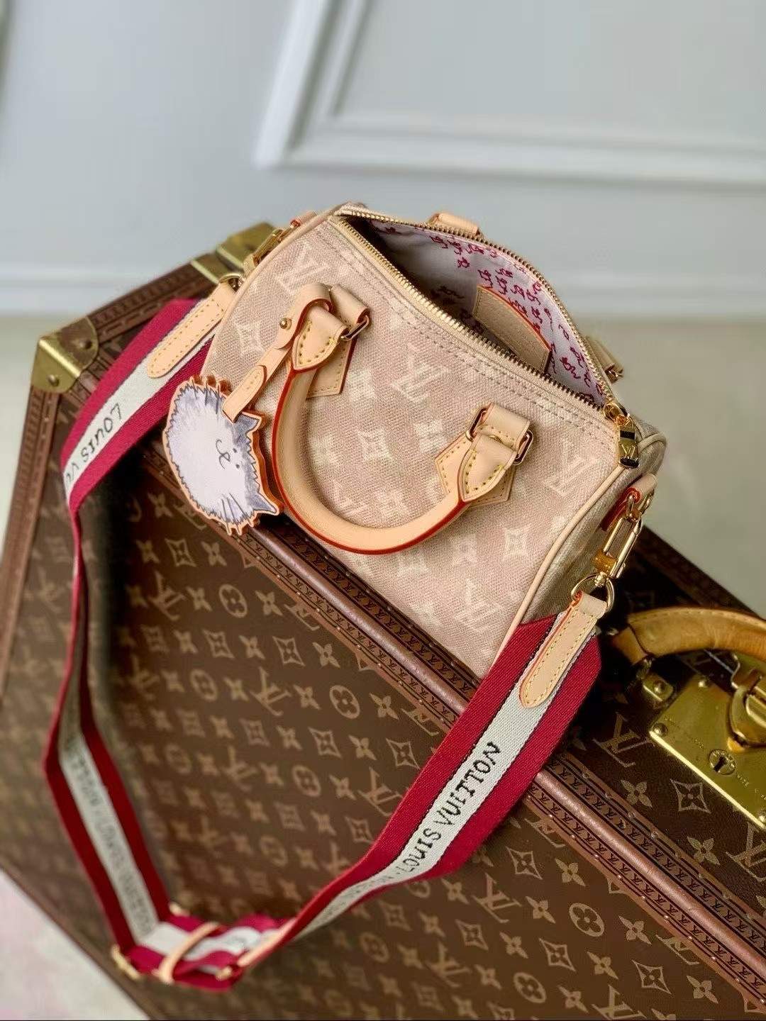 Luxury Louis Vuitton Speedy Bandouliere 20 Replica Bag - Image 4