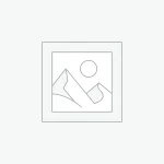 Superior Bottega Veneta Andiamo Replica Clutch - Dark Green